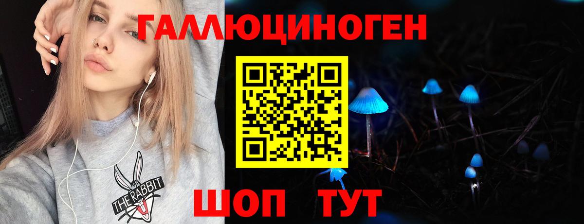 Псилоцибиновые грибы Psilocybine cubensis Новокуйбышевск